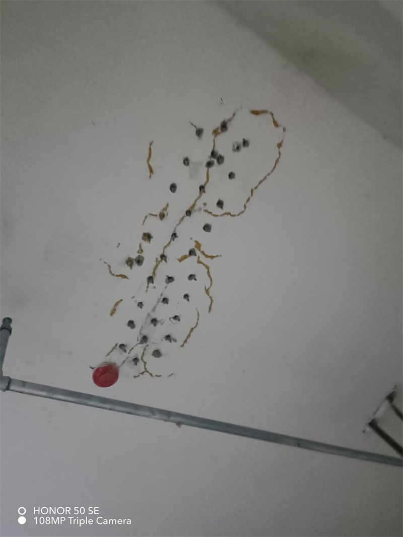 成都市新都区大丰街道