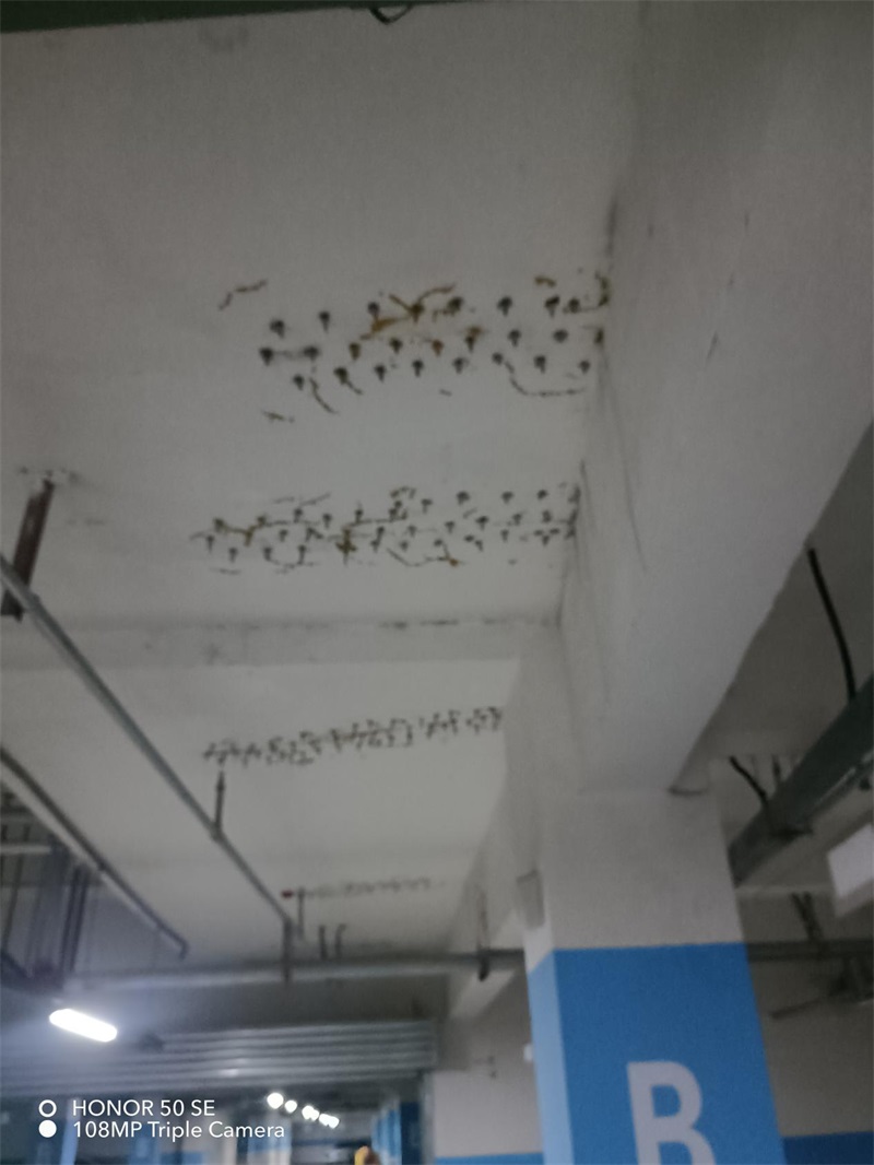 成都市新都区大丰街道