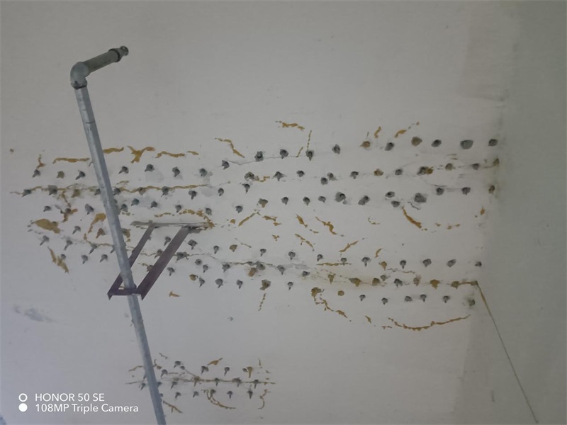 成都市新都区大丰街道