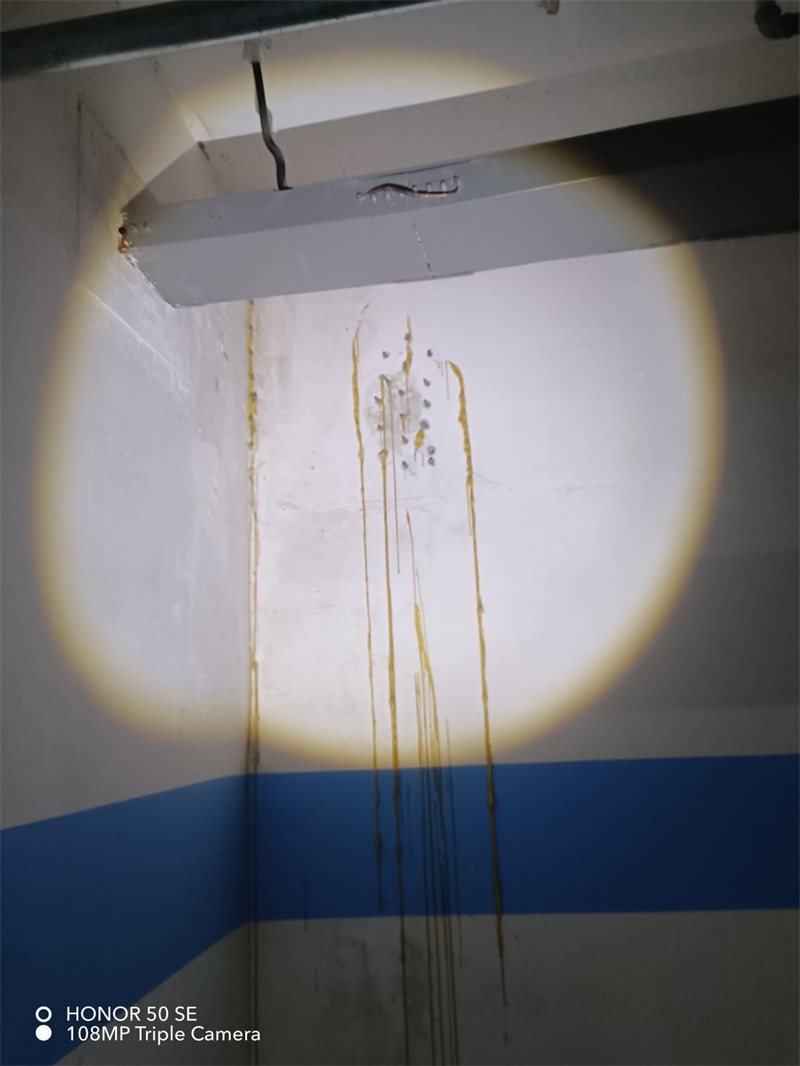 成都市新都区大丰街道