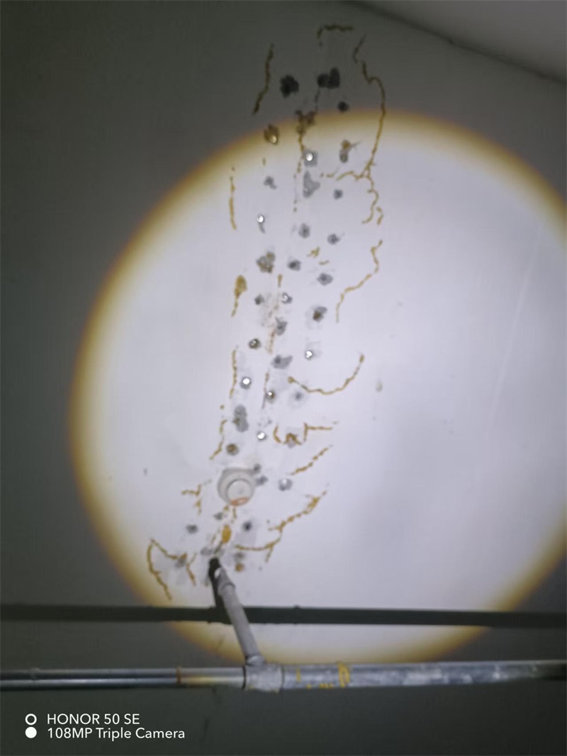 成都市新都区大丰街道