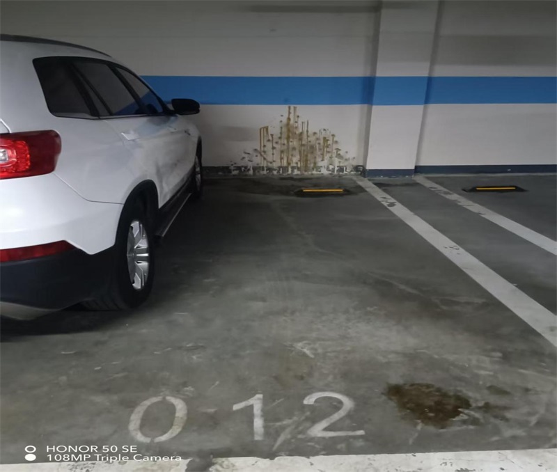 成都市新都区大丰街道