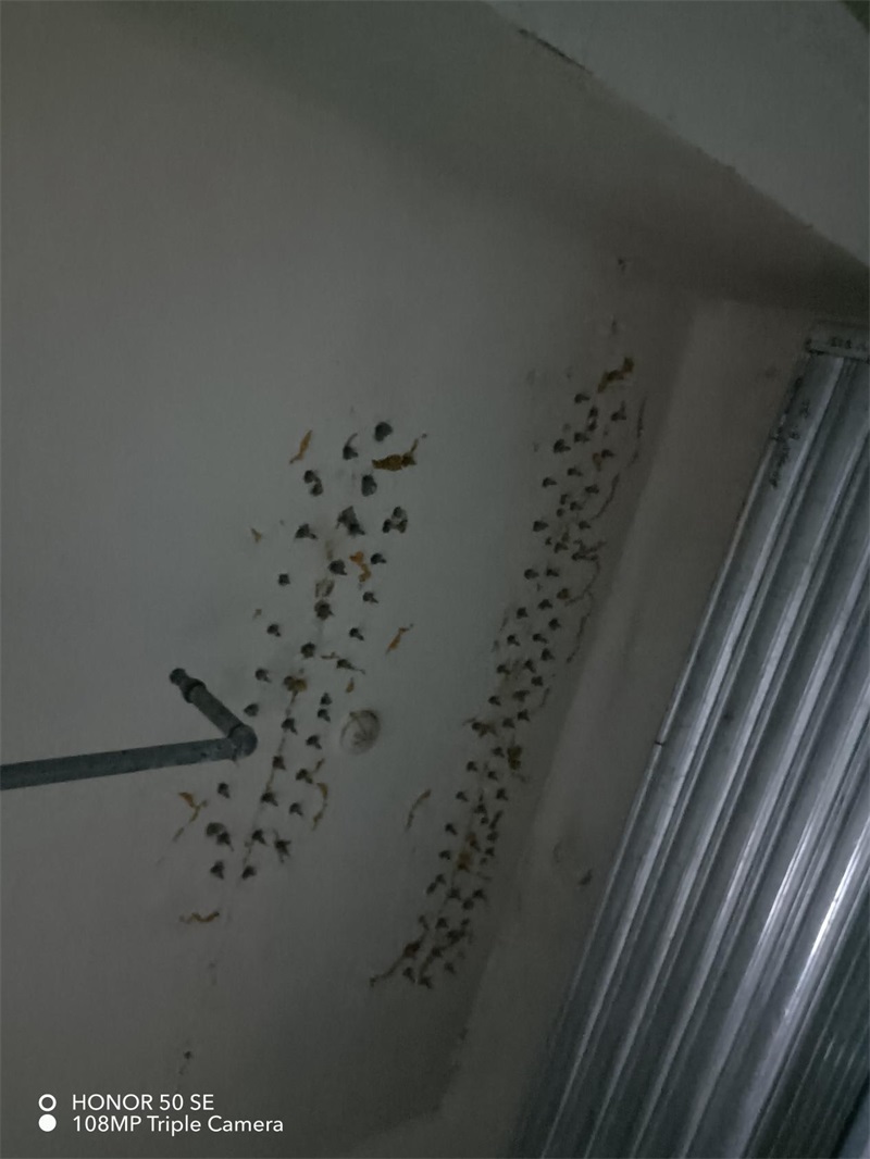 成都市新都区大丰街道