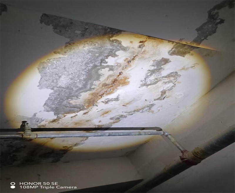 成都市新都区大丰街道