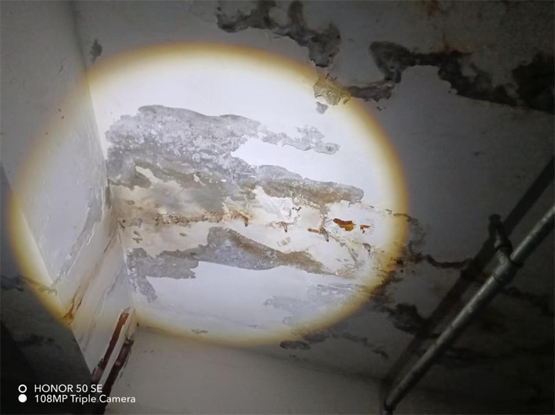 成都市新都区大丰街道