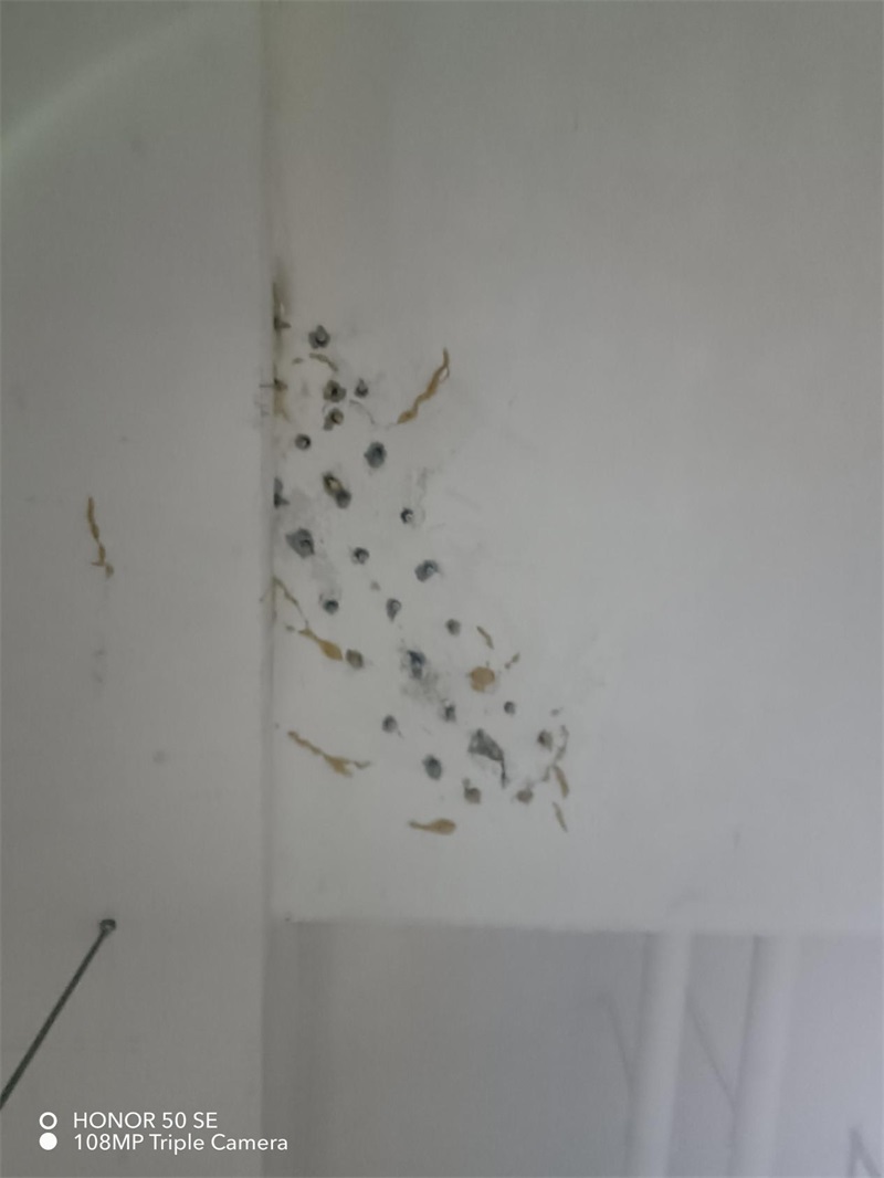 成都市新都区大丰街道