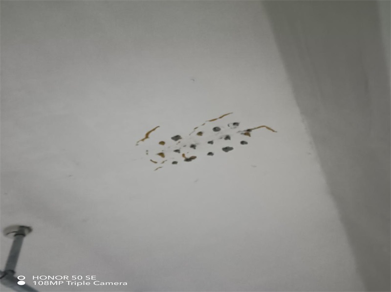 成都市新都区大丰街道