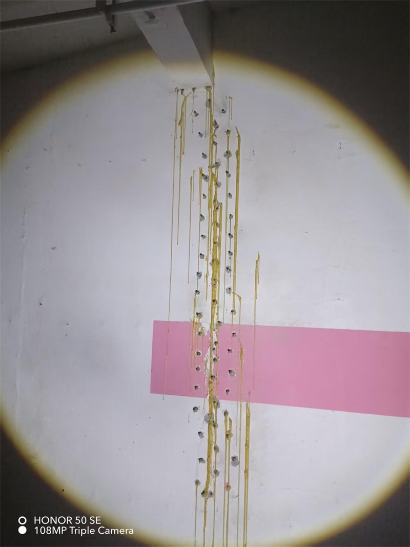 成都市新都区大丰街道