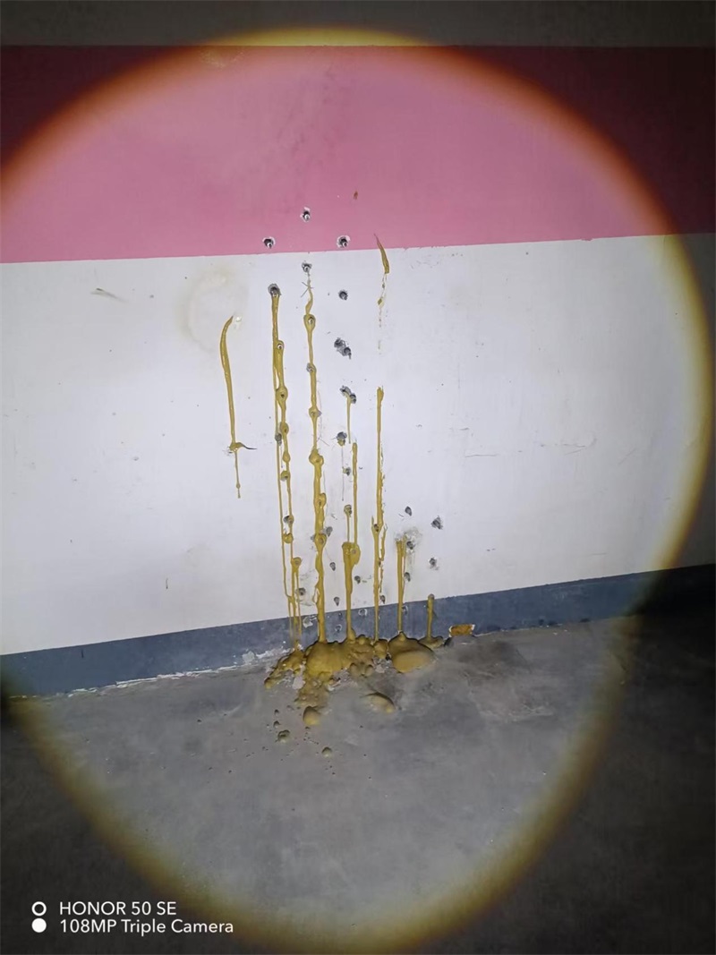 成都市新都区大丰街道