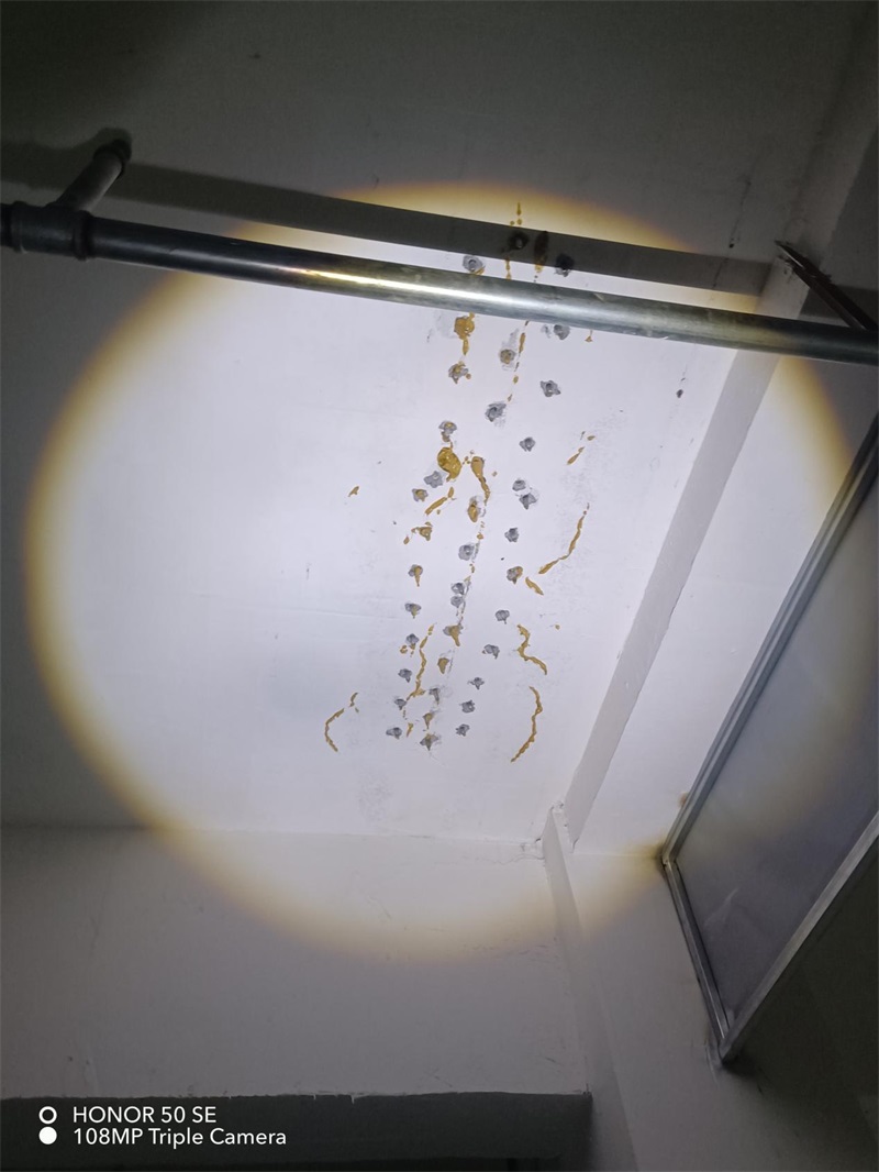 成都市新都区大丰街道