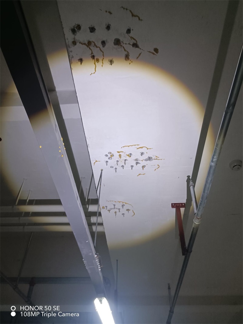 成都市新都区大丰街道