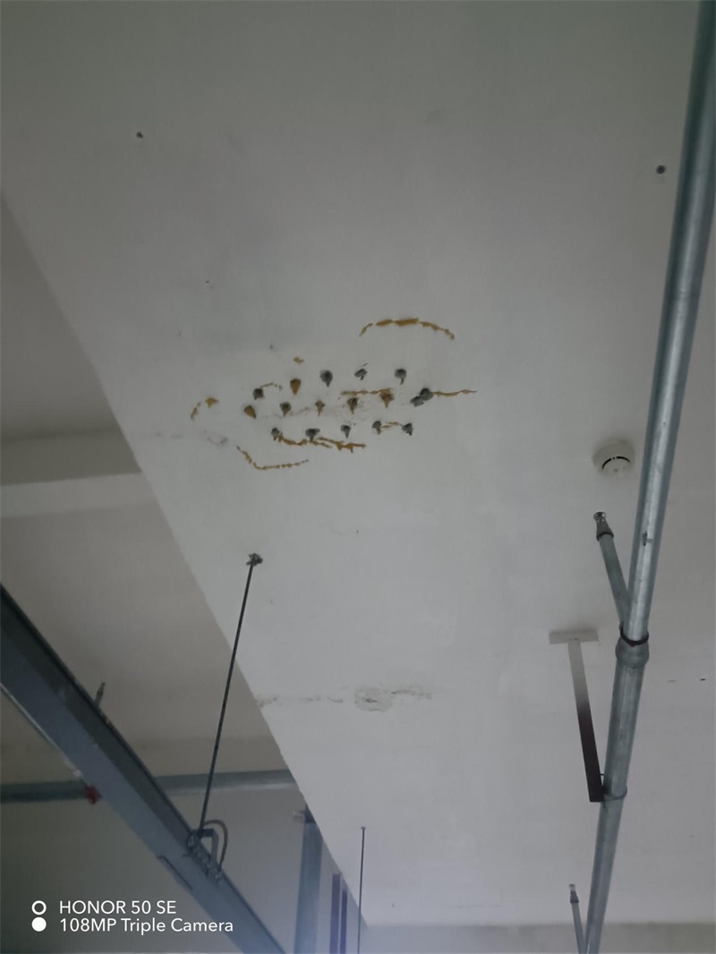 成都市新都区大丰街道