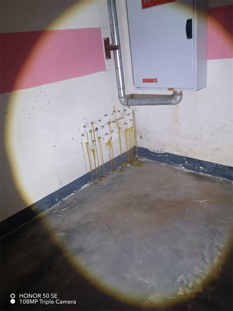 成都市新都区大丰街道