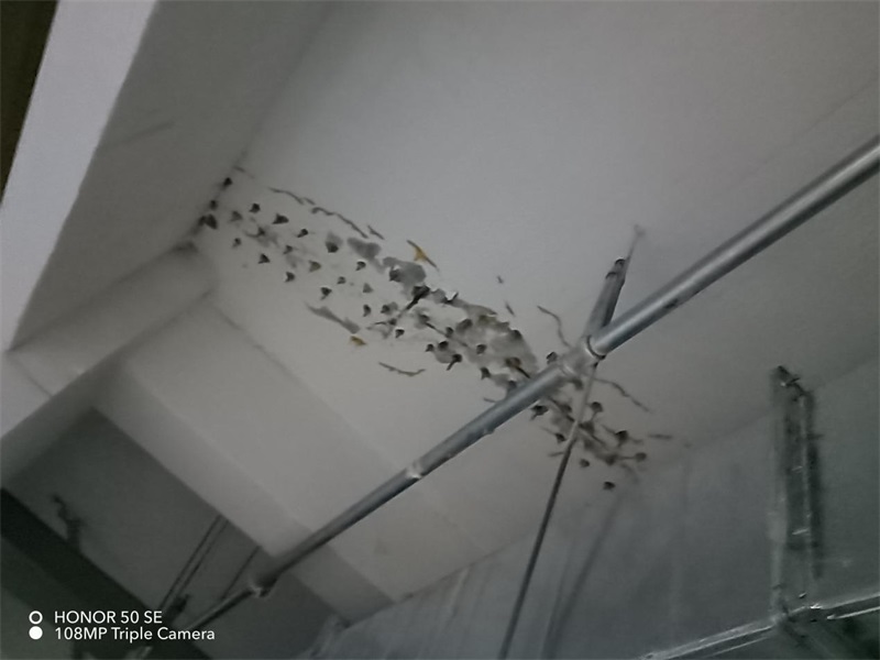 成都市新都区大丰街道