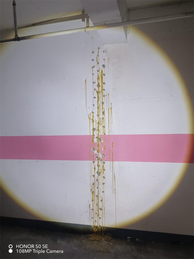 成都市新都区大丰街道