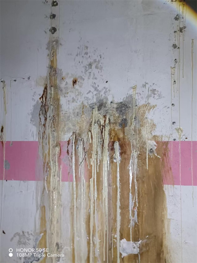 成都市新都区大丰街道