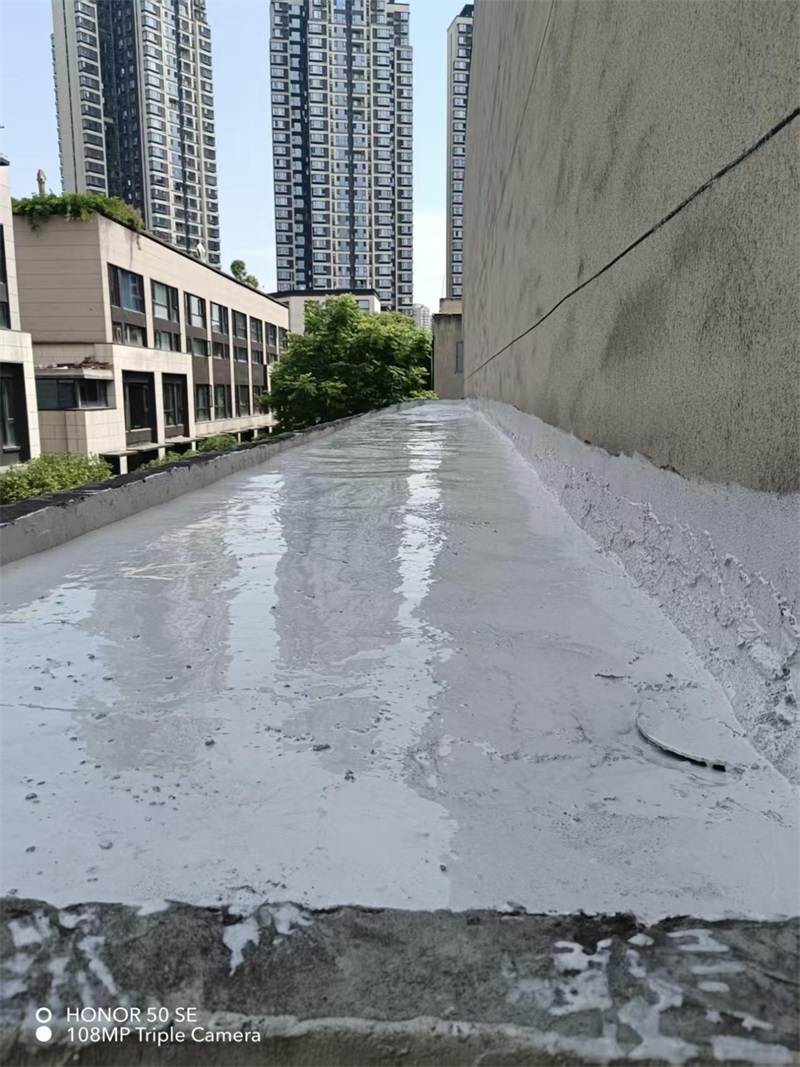 成都市新都区大丰街道