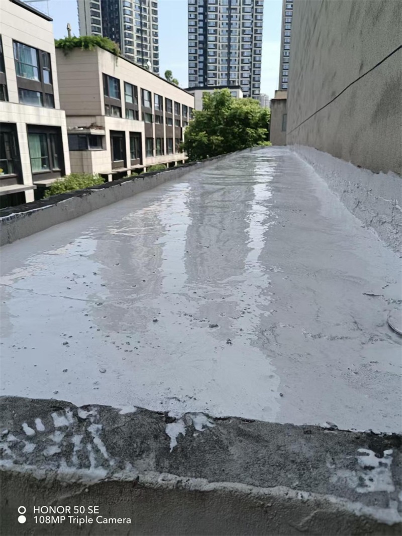 成都市新都区大丰街道