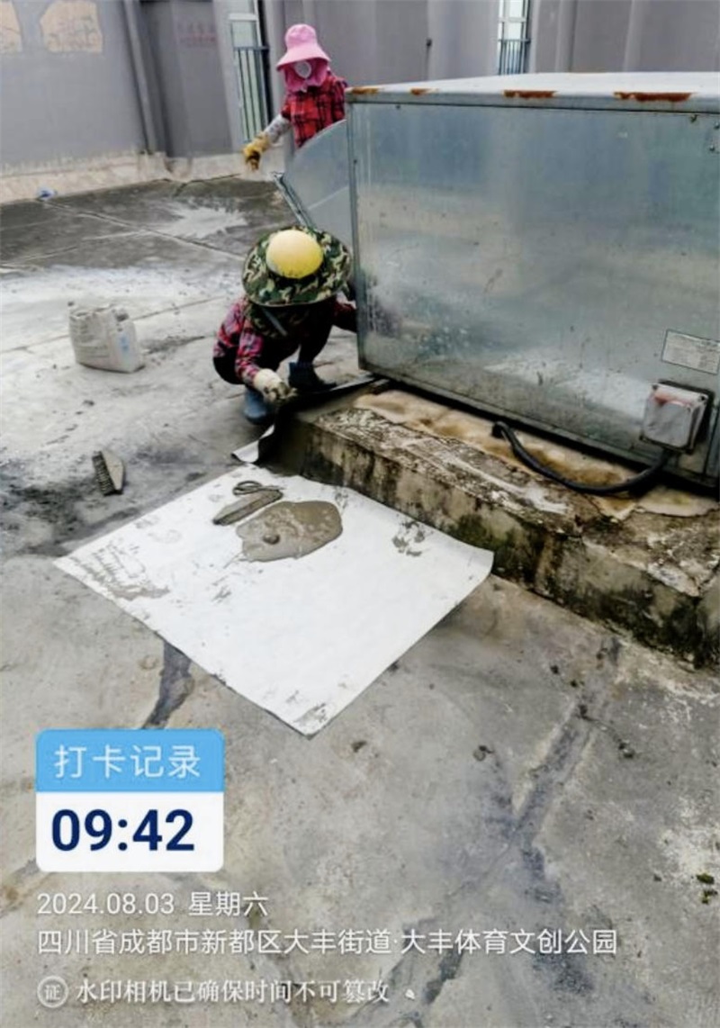 成都市新都区大丰街道