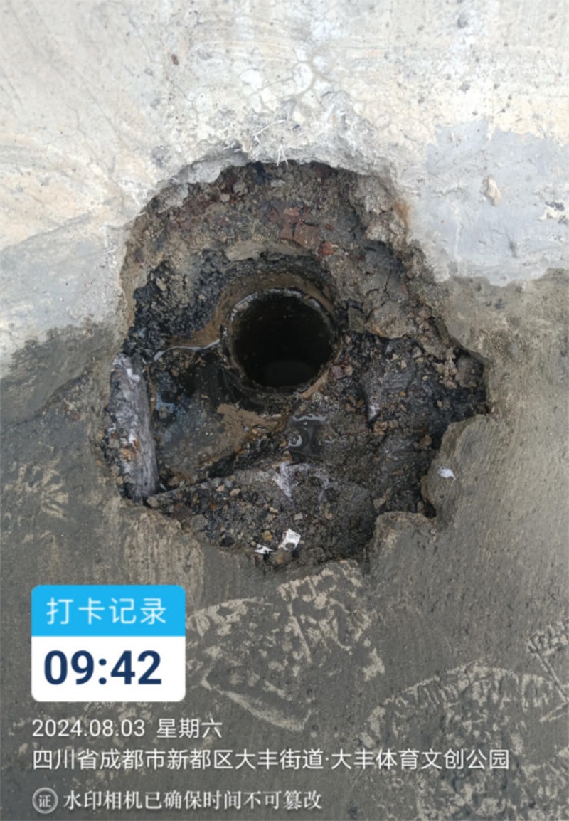 成都市新都区大丰街道