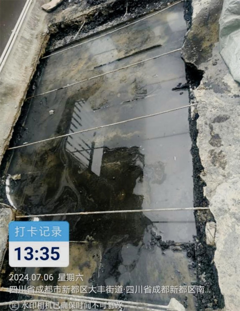 成都市新都区大丰街道