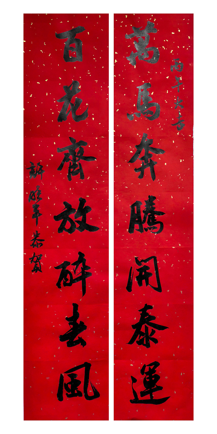 1771037849629798.jpg 万马迎春