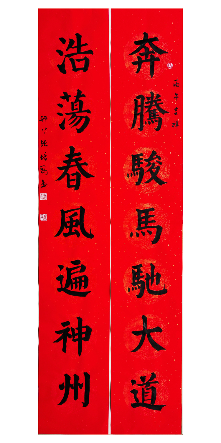 1771038637323296.jpg 万马迎春