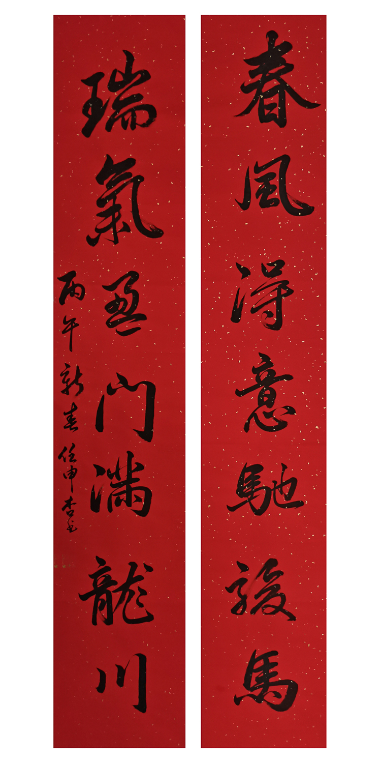 1771039436974922.jpg 万马迎春