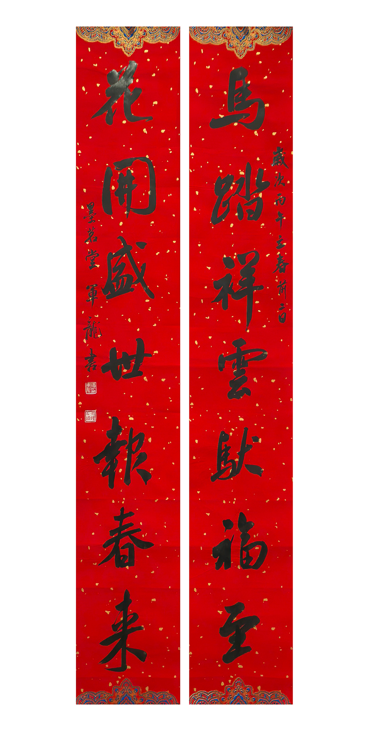 1771039500539946.jpg 万马迎春