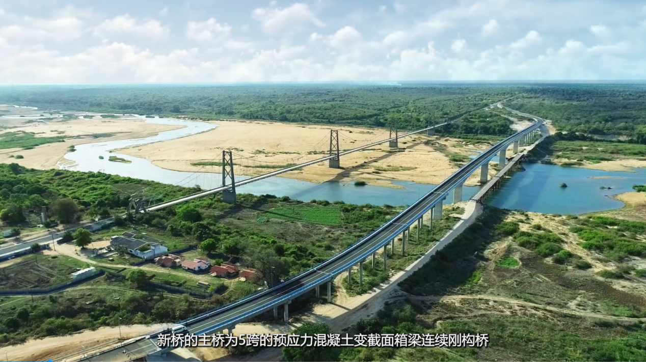 1772099257184502.png 报奖动画