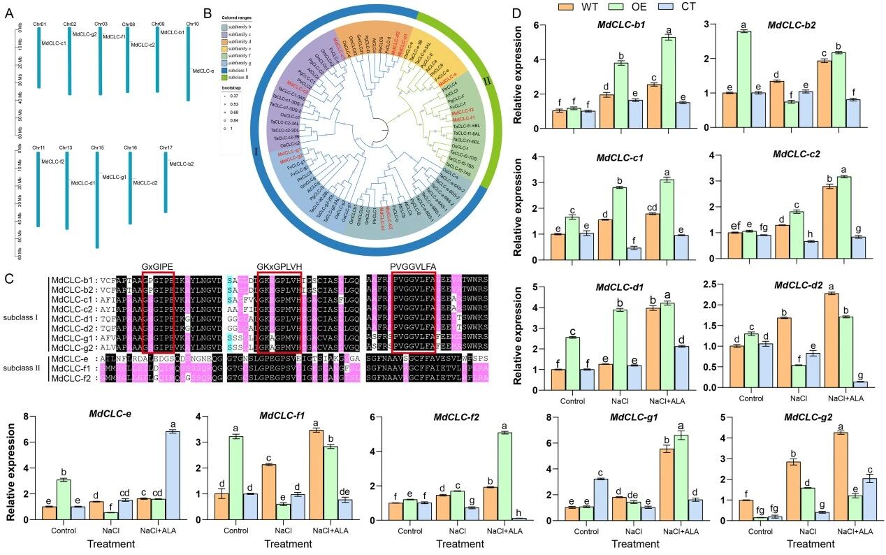 1772590154670785.jpg 5-氨基乙酰丙酸