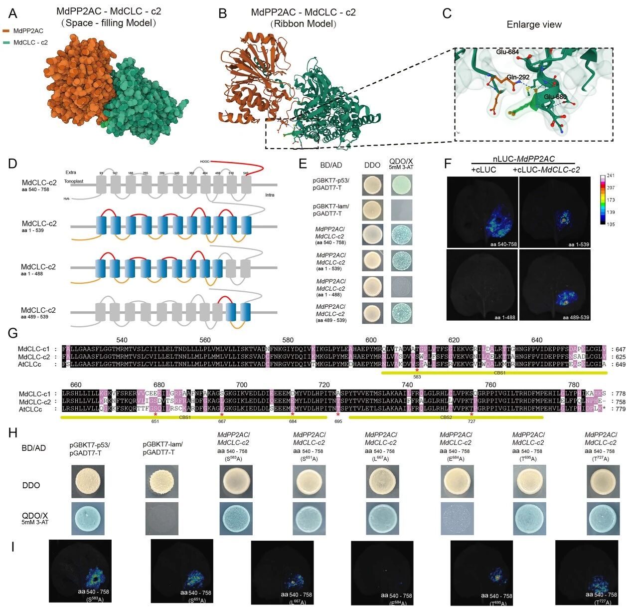 1772590231154846.jpg 5-氨基乙酰丙酸