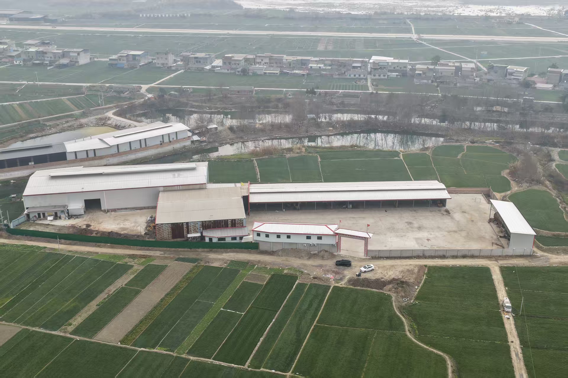 麦冬根须基地环境