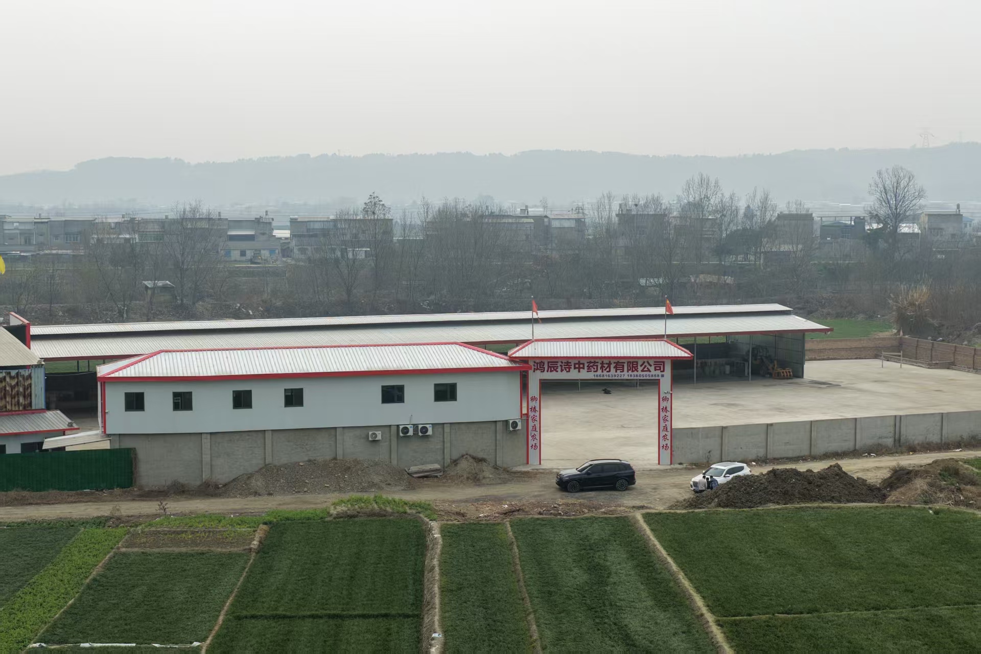 麦冬根须基地环境