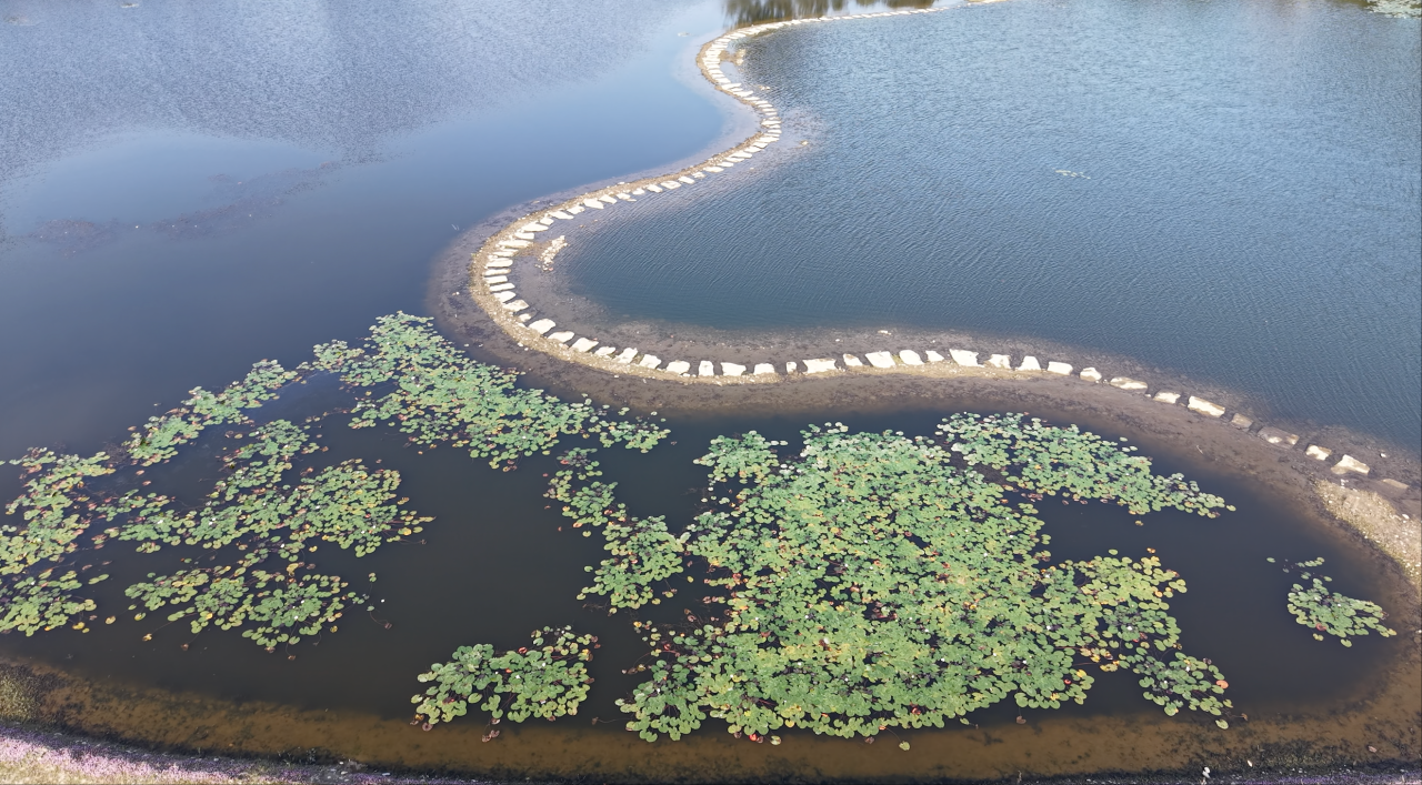 正式发布！水华防控与底泥洗脱技术入选《长江生态环境保护修复技术汇编》