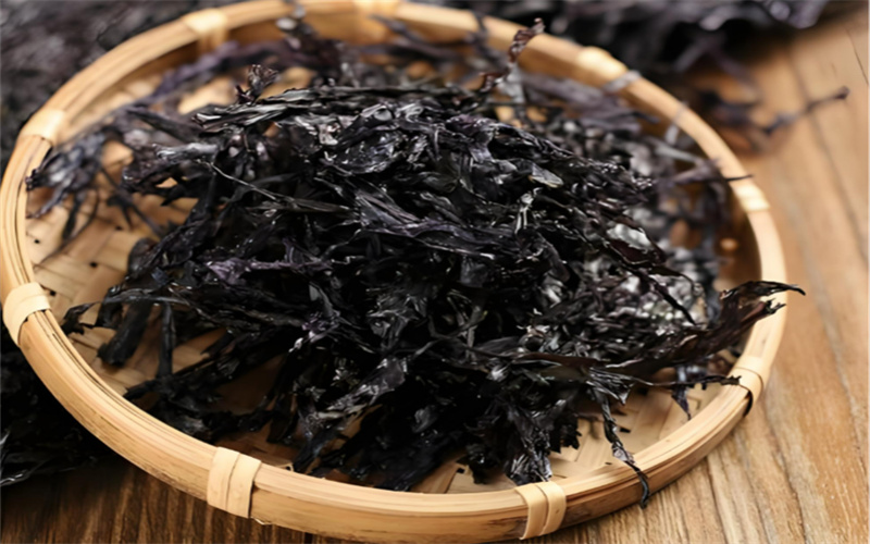 紫菜