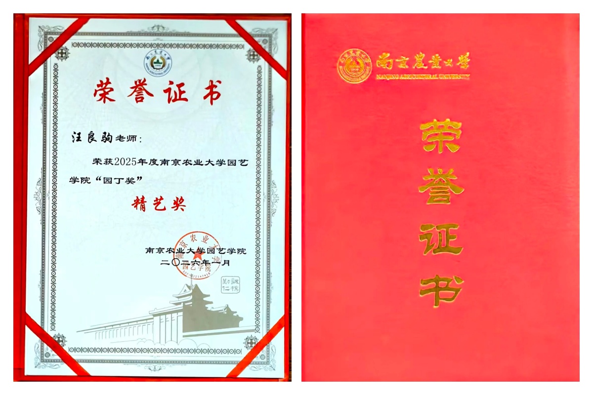 5-氨基乙酰丙酸