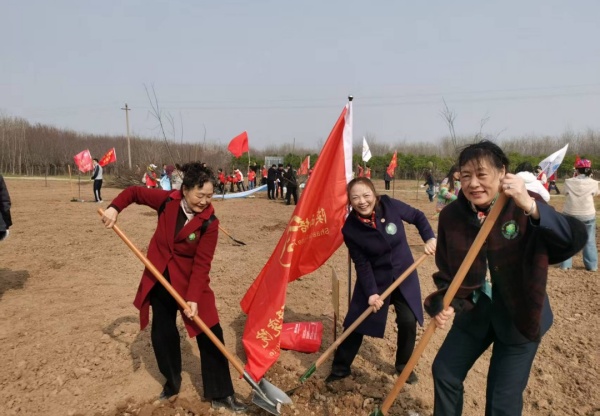 1773394525243068.jpg 陕西培合文化艺术研究院