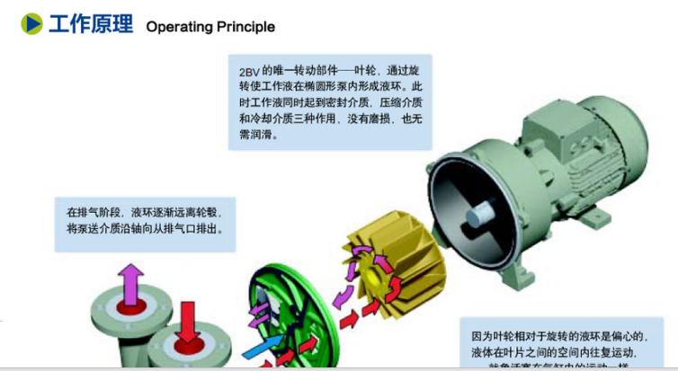 1773448190598171.png 2BV 水环真空泵