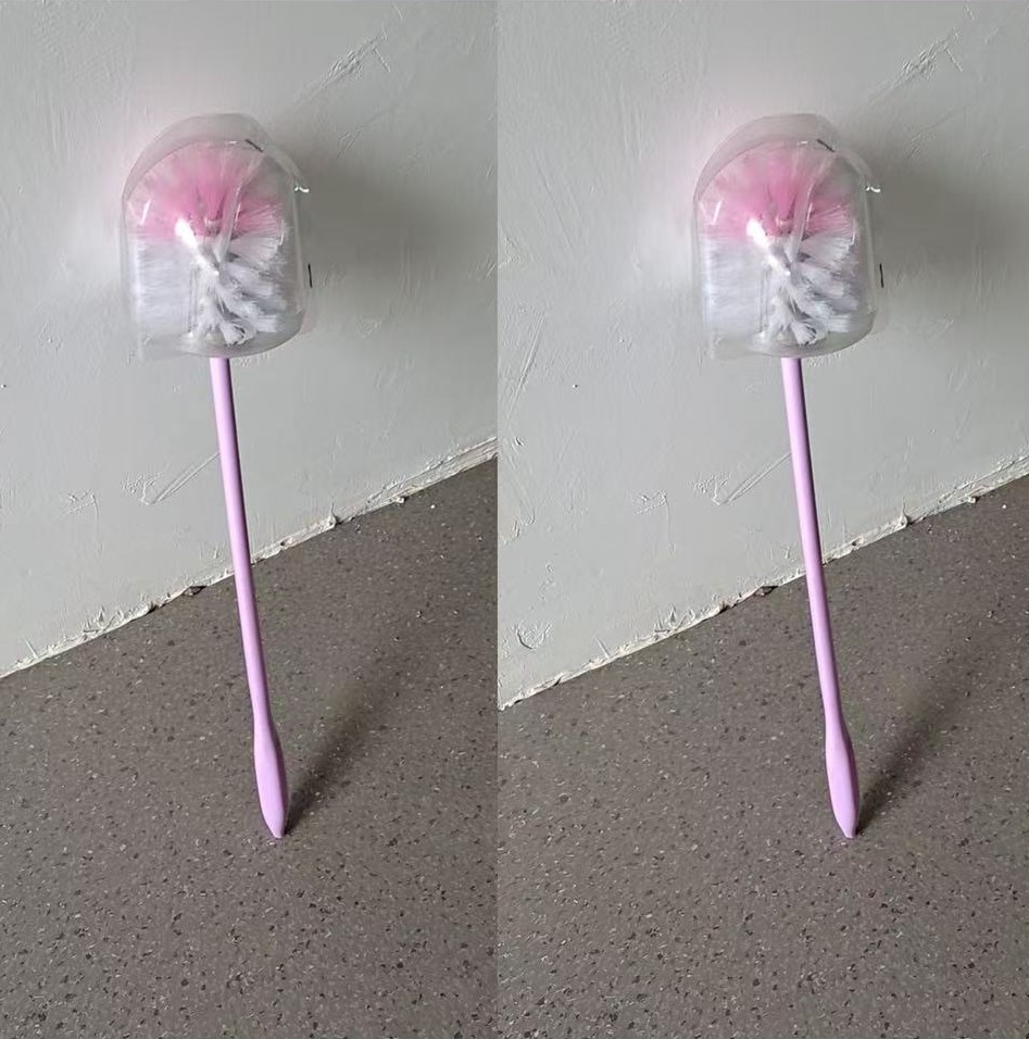 马桶刷