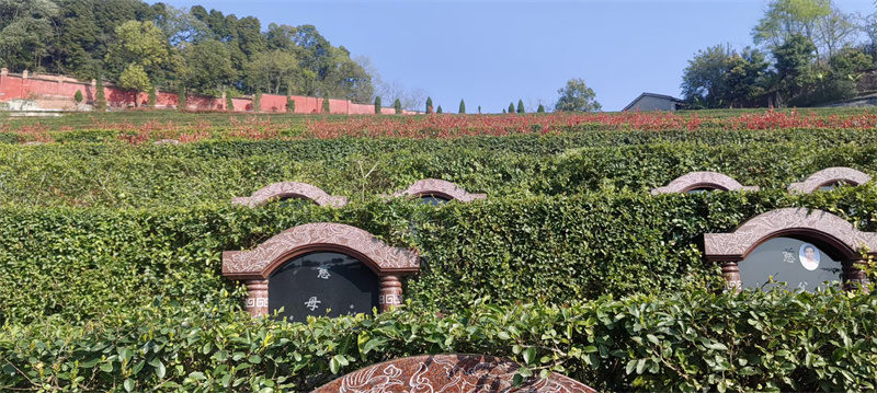 月桂苑 坐北朝南