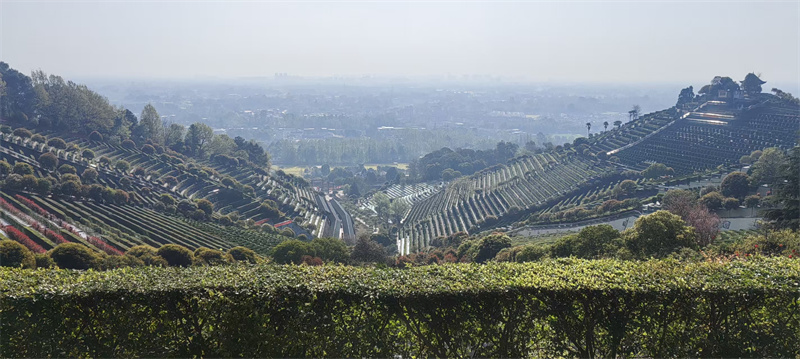 金桂苑：戌山辰向（坐西朝东南）