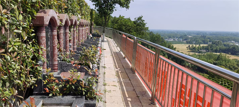 西区绿化：辛山乙向（坐西朝东）