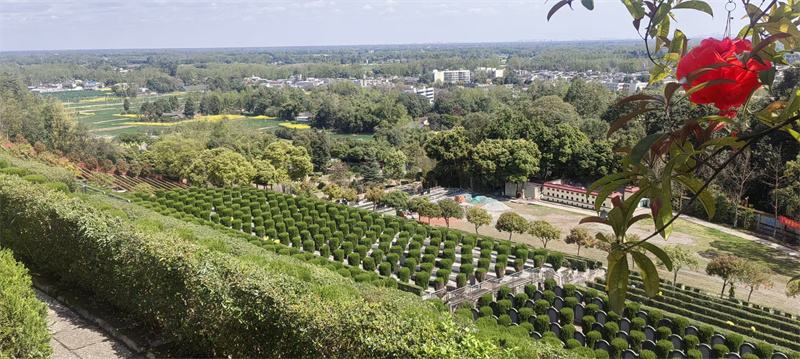 西区绿化：辛山乙向（坐西朝东）