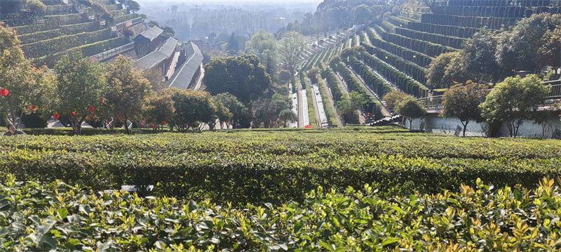 丹桂苑：戌山辰向（坐西北朝东南）