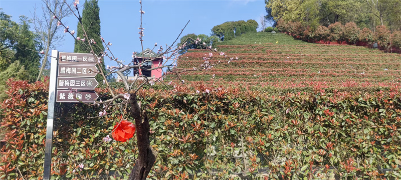 紫薇园：辛山乙向（坐西朝东）