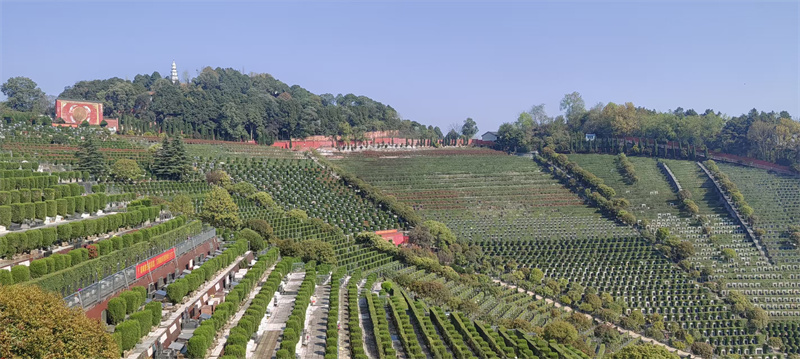 月桂苑：壬山丙向（坐北朝南）