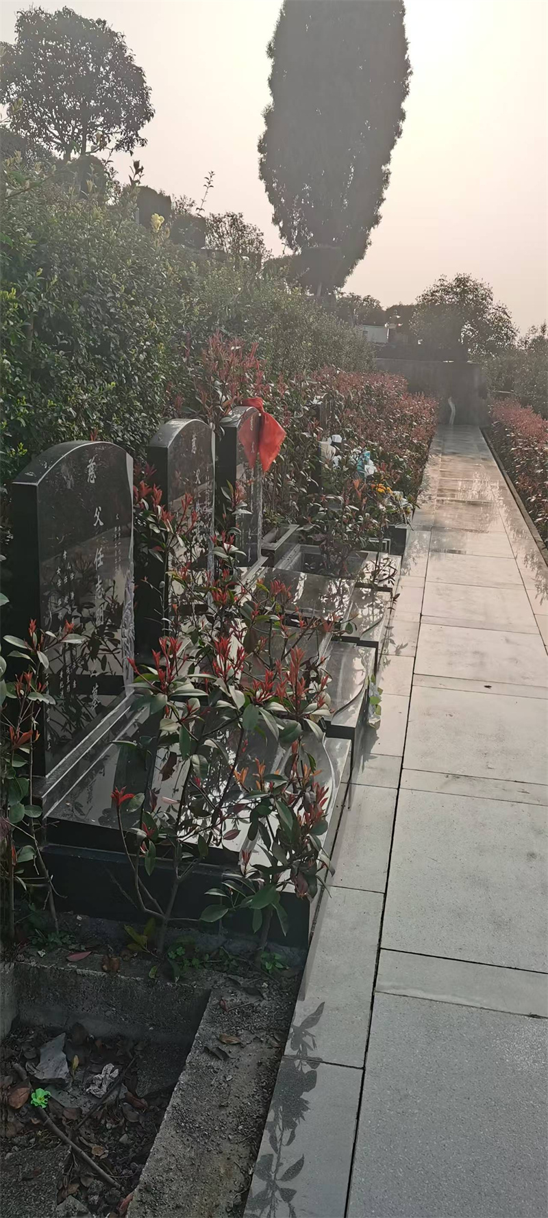 楠木苑 靠山面湖