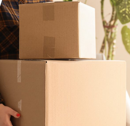 纸板是什么材质的？