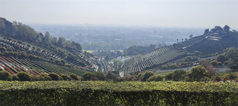 白塔山公墓园区景观